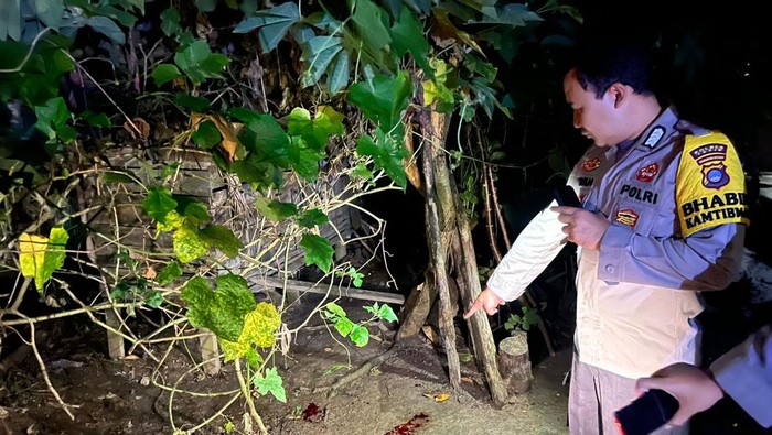 Lokasi penemuan bayi di halaman rumah warga Tapin.