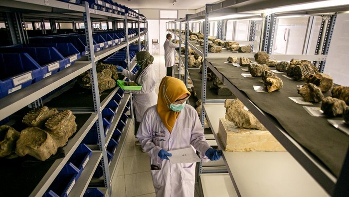 Konservator memeriksa data fosil dan benda purbakala di ruang penyimpanan Laboratorium Konservasi Museum dan Cagar Budaya Klaster Bukuran, Kalijambe, Sragen, Jawa Tengah, Rabu (9/7/2025). Pendataan dan konservasi koleksi benda purbakala yang ditemukan di kawasan Situs Purbakala Sangiran tersebut sebagai upaya identifikasi temuan hingga pelestarian fosil dan benda purbakala agar tetap terawat dan terjaga sehingga dapat menjadi sarana edukasi museum dan penelitian ilmu pengetahuan. ANTARA FOTO/Mohammad Ayudha/nz.