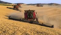 Mesin-mesin pemanen memanen biji-bijian di wilayah Palouse, Washington Timur; Washington, Amerika Serikat.  Indonesia berjanji untuk meningkatkan impor pertanian, energi, dan barang dagangan untuk menutup kesenjangan perdagangan dengan AS. Awal minggu ini telah dicapai kesepakatan senilai US$1,25 miliar atau sekitar Rp 20,1 triliun untuk membeli lebih banyak gandum AS. Foto: Rick Dalton/Design Pics Editorial/Universal Images Group via Getty Images)