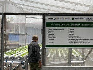 Pertamina Foundation Lestarikan Lingkungan Lewat Program Hutan Lestari