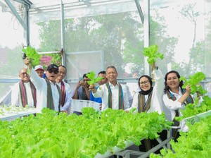 Pertamina Hijaukan Hutan Lombok, Upaya Pelestarian Lingkungan-Ekonomi