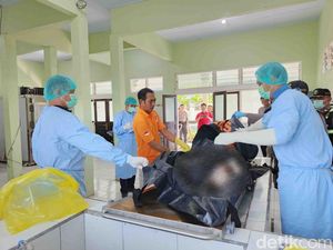 Lagi, Jenazah ke-11 KMP Tunu Pratama Jaya Ditemukan di Jembrana