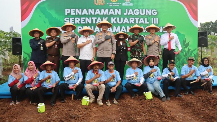 Polda Metro Jaya kembali menanam benih jagung untuk mendukung program swasembada pangan. Kali ini, benih jagung ditanam di Serpong, Tangerang Selatan, Banten. (dok Ist)