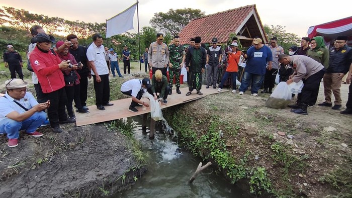 Forkopimda Sidoarjo tanam dan tebar benih ikan di di lahan Pondok Pesantren Al-Amanah, Desa Junwangi, Kecamatan Krian