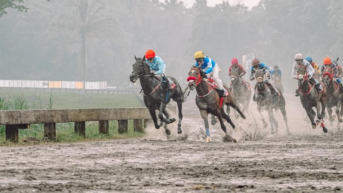 pp pordasi triple crown pacuan kuda
