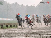 Kenalan dengan Triple Crown, Gelar Pacuan Kuda Level Dewa