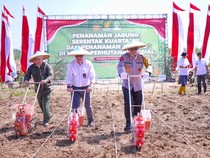 Jagung dan Langkah Strategis Polda Jabar Wujudkan Swasembada Pangan