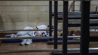 Serangan Rusia memaksa warga menghentikan aktivitas dan mencari perlindungan. REUTERS/Alina Smutko