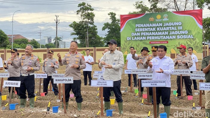 Wakapolda Babel Brigjen Tony Harsono bersama PJU Polda dan Instansi terkait menanam jagung.