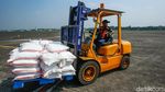 Antisipasi Banjir, BNPB Sebar Garam dari Udara