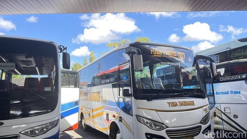 Beberapa bus jurusan Gilimanuk terparkir di Terminal Ubung, Denpasar, Kamis (10/7/2025). (Rizky Setyo)