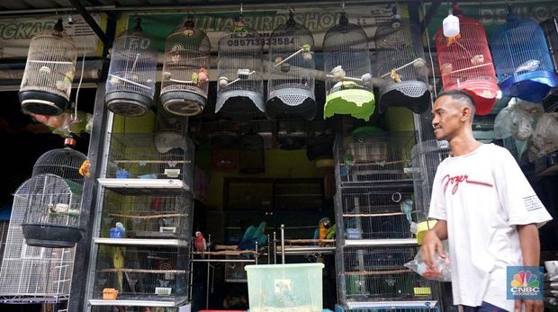 Calon pembeli melihat burung yang dijual di Pasar Hewan Barito, Jakarta, Kamis (10/7/2025). (CNBC Indonesia/Muhammad Sabki)