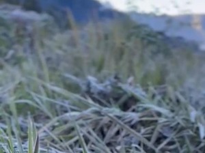 Saat Embun Es Selimuti Gunung Bromo