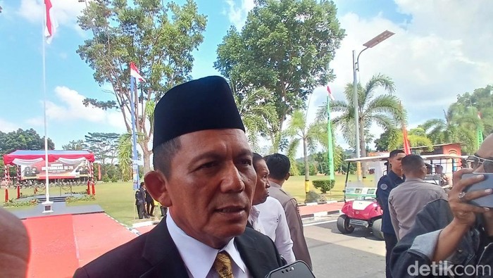 Gubernur Kepri Ansar Ahmad. (Alamudin Hamapu/detikSumut)