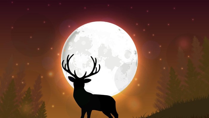 Illustration of Silhouette of a deer standing on a hill at night
