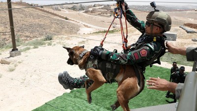 Intip Pelatihan dan Medis Modern untuk Anjing Polisi di Yordania