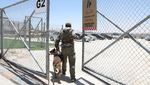 Intip Pelatihan dan Medis Modern untuk Anjing Polisi di Yordania