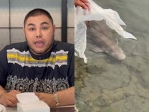 Lepaskan Hiu dari Restoran, Ivan Gunawan: Tidak Semuanya Bisa Dimakan!