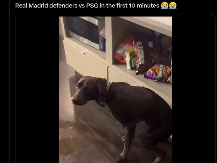 Meme PSG Menang Vs Inter Milan di Semifinal Piala Dunia Antarklub 2025