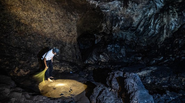 Menelusuri Gua Petruk Kebumen, Situs Karst Purba yang Mendunia Petugas menunjukkan stalaktit dan stalagmit di dalam situs geologi Gua Petruk, Desa Candirenggo, Kecamatan Ayah, Kebumen, Jawa Tengah, Kamis (10/7/2025). Gua yang merupakan bagian dari Geopark Kebumen itu resmi diakui sebagai UNESCO Global Geopark pada 2025 yang menyuguhkan keajaiban formasi karst dan sungai bawah tanah sebagai warisan geologi purba Indonesia. ANTARA FOTO/Aprillio Akbar/rwa.