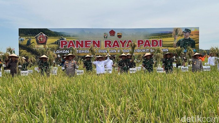 Panglima TNI saat panen raya bersama sejumlah stakeholder di Deli Serdang.