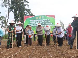 Polres Pasuruan Ajak Mahasiswa Tanam Jagung di Lahan Perhutanan Sosial