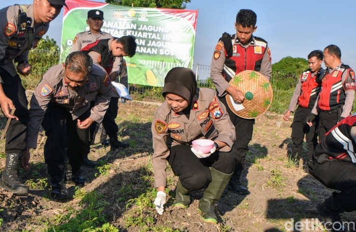 Polres Situbondo tanam jagung