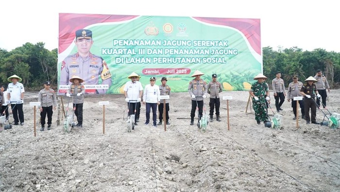 Sekda Sudirman bersama Kapolda Jambi dan Forkopimda lainnya lakukan penanaman jagung