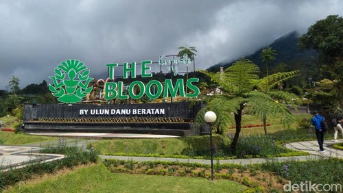 Suasana The Blooms Garden, Tabanan, Kamis (10/7/2025). (I Dewa Made Krisna Pradipta)
