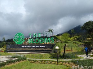 Sejumlah Tempat di Bali dengan Vibes Luar Negeri