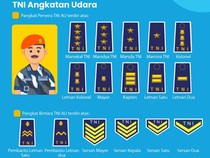 Urutan Pangkat TNI AU Lengkap, Dari Prajurit Dua sampai Marsekal TNI