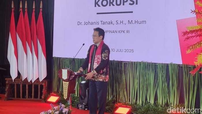 Wakil Ketua KPK Johanis Tanak. (Adrial/detikcom)