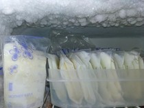 Batas Aman Simpan ASI di Freezer Menurut Ikatan Dokter Anak