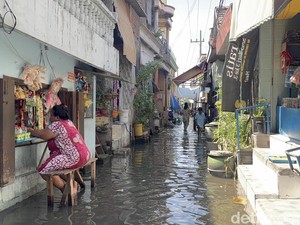 Banjir Rob Genangi Puluhan Rumah Warga di Pesisir Surabaya