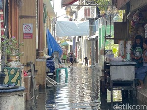Waspada! Banjir Rob Ancam Pesisir Jatim 16-31 Januari 2026
