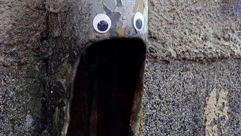 Seniman jalanan Bulgaria Vanyu Krastev menambahkan sentuhan humor ke ruang perkotaan dengan menempelkan mata googly ke benda-benda sehari-hari. Foto: Street Art Utopia
