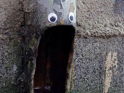 Begini Kalau Benda-benda Punya Mata, Lucu atau Seram?