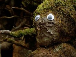 Begini Kalau Benda-benda Punya Mata, Lucu atau Seram?