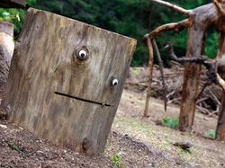 Begini Kalau Benda-benda Punya Mata, Lucu atau Seram?