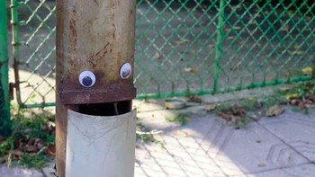 Ikuti kata hati, kembangkan kebutuhan itu, rawatlah dengan baik, saran Krastev. Foto: Street Art Utopia