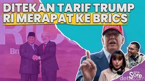 Kelapa Sawit Jadi Andalan Ekspor RI Hadapi Tarif Trump