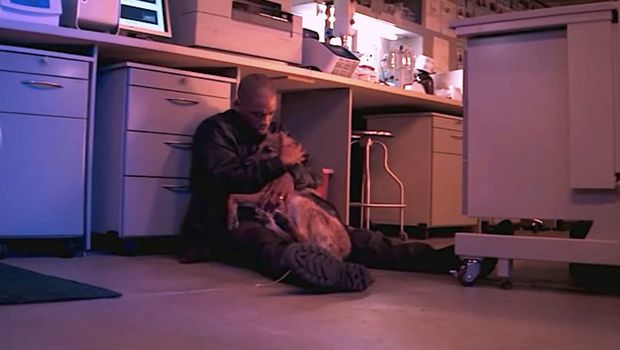 Cuplikan adegan dalam film I Am Legend.