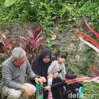 Sementara itu, Handri selalu menyimpan satu harapan besar, bahkan menabung diam-diam, agar suatu hari bisa ikut program bayi tabung. Tapi takdir berkata lain. Bapak Kartika wafat di tahun 2012. Tanpa sempat melihat cucu yang ia rindukan. Namun cinta tak pernah benar-benar mati. Ia tetap tumbuh pelan-pelan, dalam diam, di antara doa dan air mata. Tahun 2017, aku dan suamiku mencoba program bayi tabung pertama gagal. Tapi kami tidak berhenti. Tahun berikutnya, kami mencoba lagi. Dan kali ini, berhasil. 30 Maret 2019, lahirlah Iqbal, kami panggil dia Kiay Iqbal. Anak pertama yang kutunggu selama 12 tahun, kenangnya. Foto: Dok. pribadi Kartika.