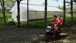 Merangkai Mimpi di Kebun Anggur