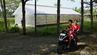 Bagi sebagian orang, menjadi petani dipandang sebelah mata. Namun bagi Lucky dan sebagian yang lain, menekuni bisnis pertanian merupakan aktivitas menyenangkan dan menantang. Hanya manusia pilihan yang mempunyai nyali, keberanian, kesabaran dan tak mudah patah arang yang sanggup melakoni. Merekalah manusia-manusia hebat sesungguhnya.