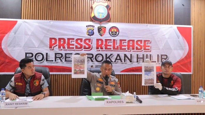 Polres Rohil menangkap lima pelaku perambahan dan pembakaran hutan, Jumat (11/6/2025).
