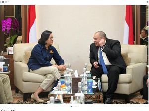 Sri Mulyani Bertemu Pandu Sjahrir Bahas Pengembangan Investasi Danantara
