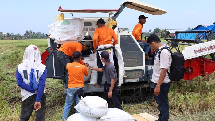TNI mendukung program ketahanan pangan nasional melalui panen raya padi di lahan 80 hektare di Deli Serdang, Sumut. (dok.Istimewa)