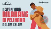 10 Hewan yang Dilarang Dipelihara dalam Islam