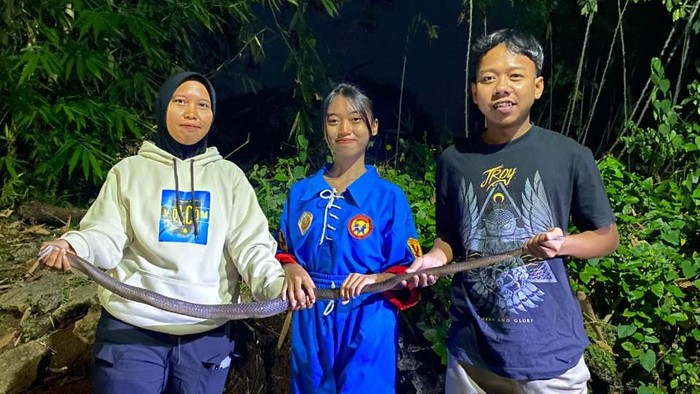 2 Wanita Tangkap Kobra Jawa Ngumpet di Kandang Ayam Sragen